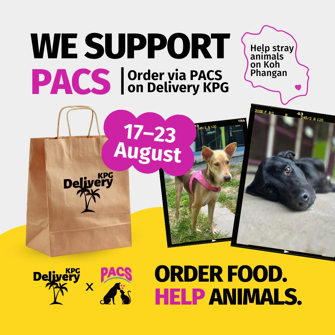 Delivery KPG and PACS campaign artwork: order food, help stray animals on Koh Phangan, 17 to 23 August